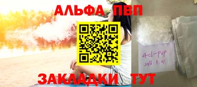 крисы Шебекино