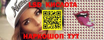 крисы Шебекино