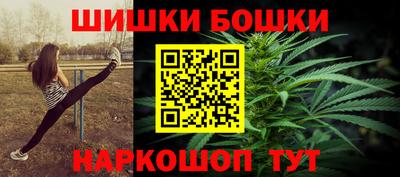 крисы Шебекино