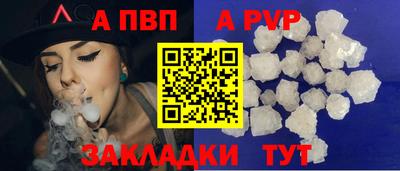крисы Шебекино