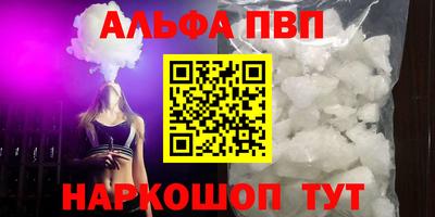 крисы Шебекино