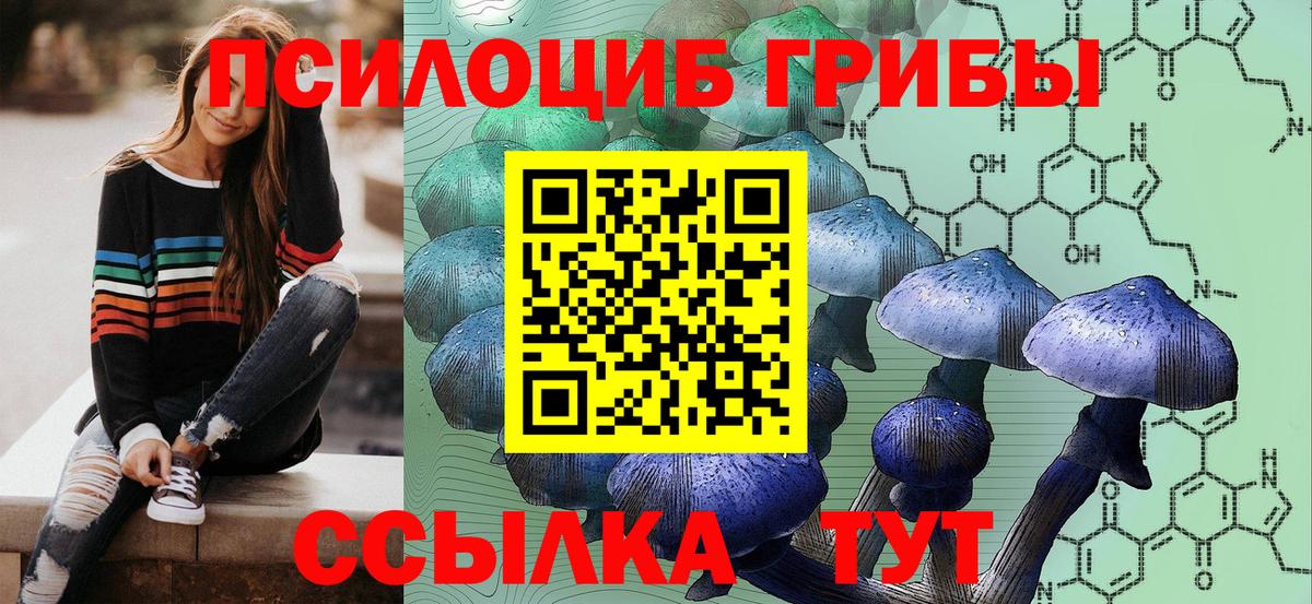 Псилоцибиновые грибы прущие грибы Большой Камень