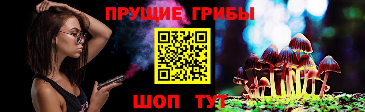 Галлюциногенные грибы GOLDEN TEACHER  Вход с VPN  Галлюциногенные грибы Psilocybine cubensis  Большой Камень 